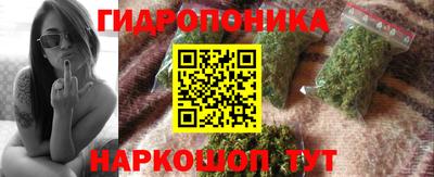 PSILOCYBIN Туймазы
