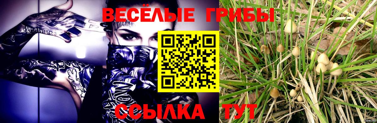 Псилоцибиновые грибы Psilocybe  что такое наркотик  Бузулук  Галлюциногенные грибы мухоморы  Вход с VPN 